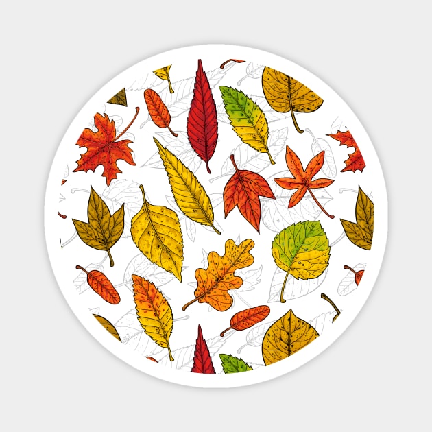 Autumn leaves on white Magnet by katerinamk